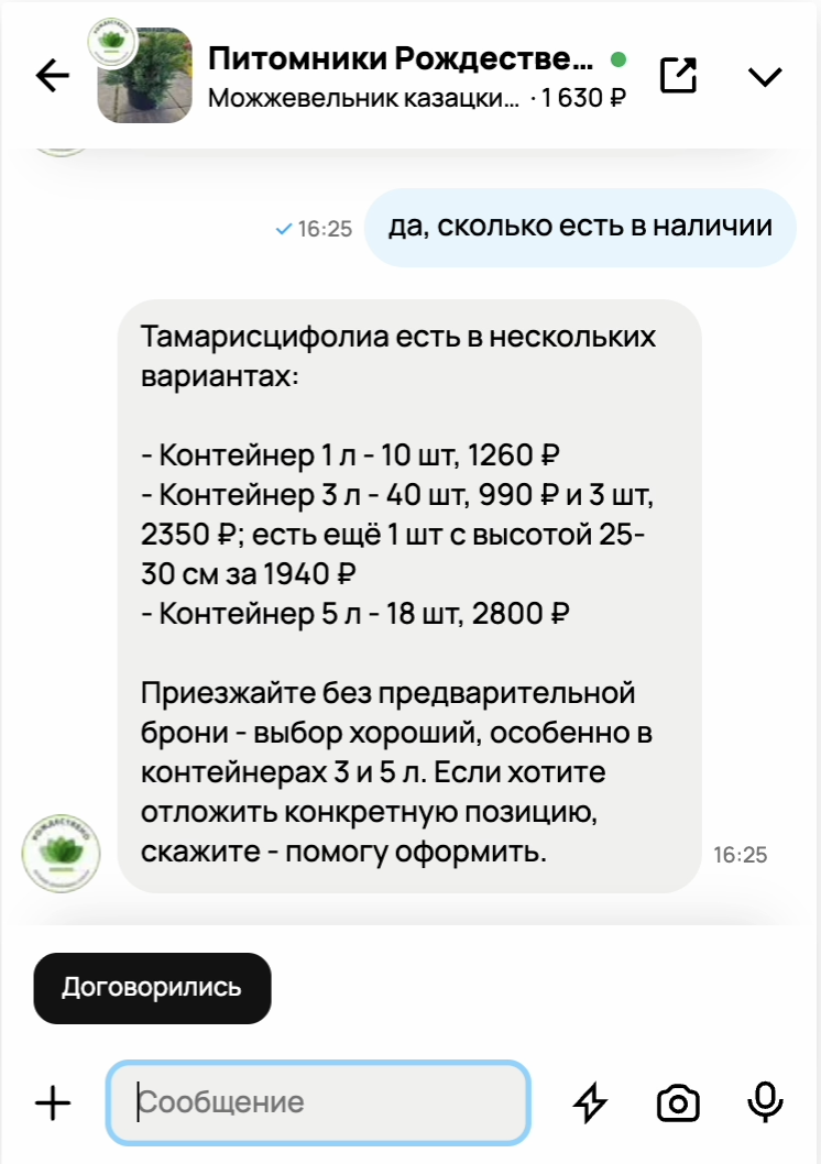Диалог с ассистентом Лука
